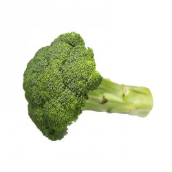 Brocoli