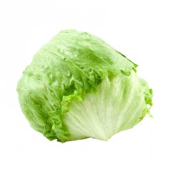 Lechuga