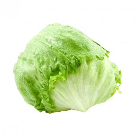 Lechuga