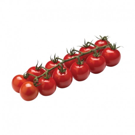 Tomate cherry