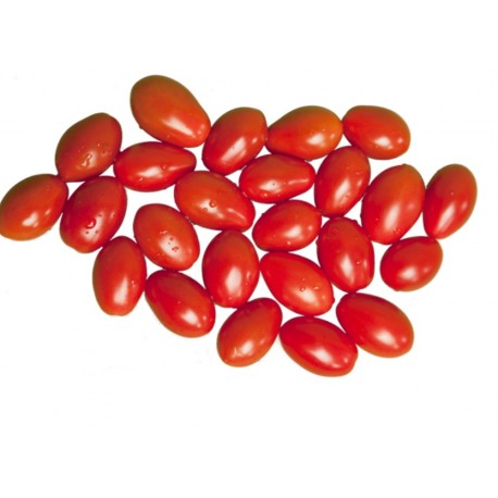 Tomate cherry